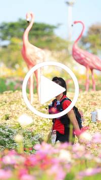 BIB:  <button type="button" onclick="openModal(27583291)" class="btn btn-primary btn-sm float-right" data-toggle="modal" data-target=".modal-high-quality">
                <i class="fa fa-download"></i> Download
                </button>